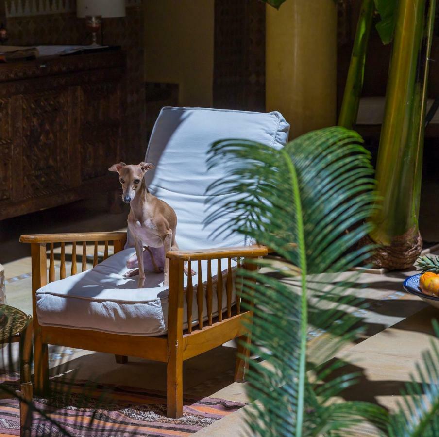 Riad Azoulay Marrakesh Ngoại thất bức ảnh
